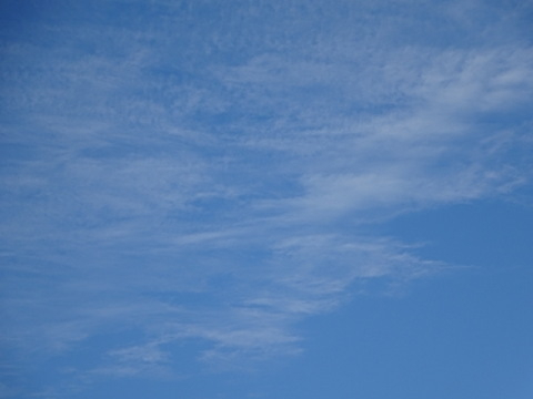 18dsc06603