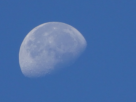 19dsc06604