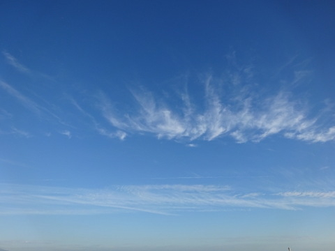 1dsc06504