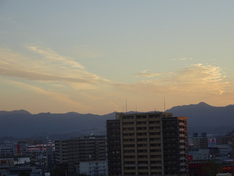 1dsc06528