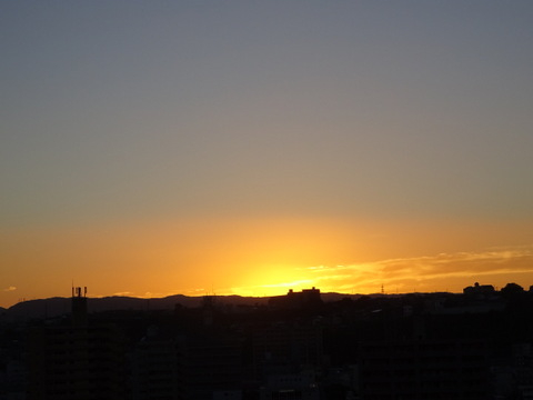 1dsc06529