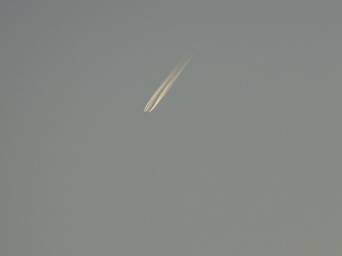 1dsc06530