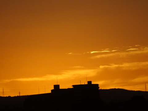 1dsc06532