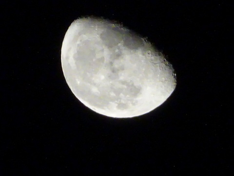 1dsc06548