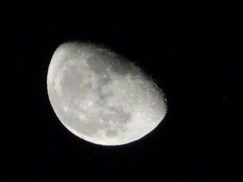 1dsc06549