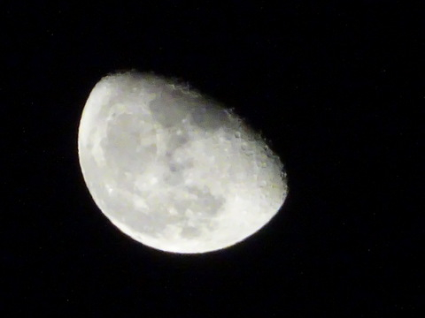 1dsc06556