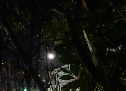 1dsc06558