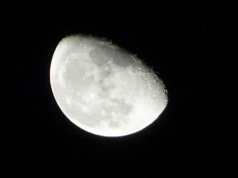 1dsc06568