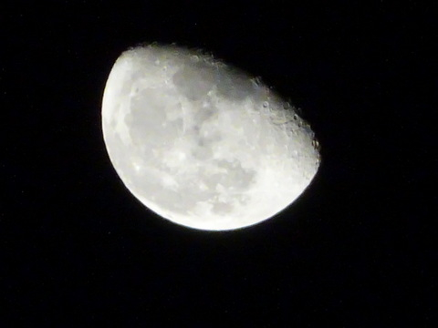 1dsc06570
