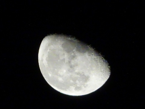 1dsc06576