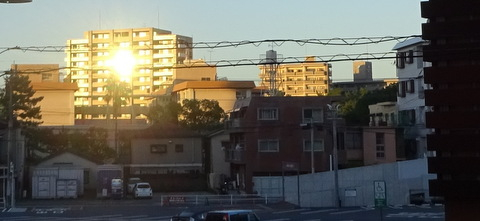 1dsc06599