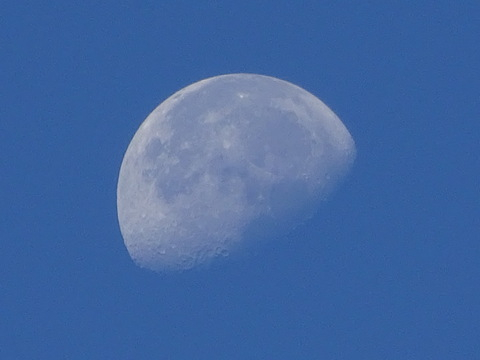 20dsc06605