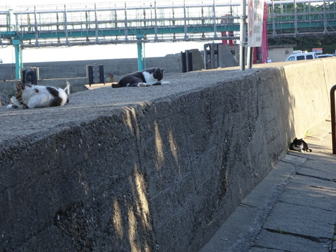 1dsc06624