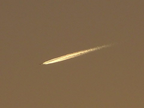 1dsc06645