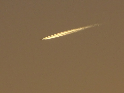 1dsc06646
