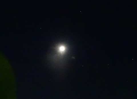 1dsc06650