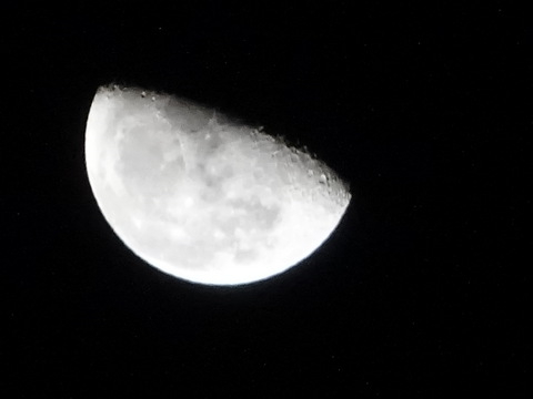 1dsc06651