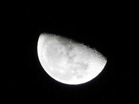 1dsc06652