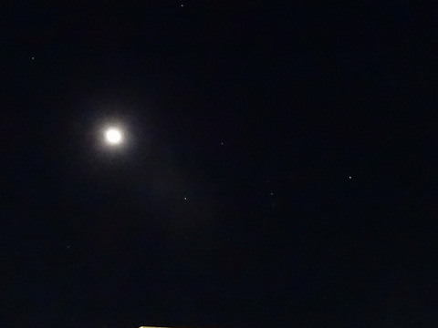 1dsc06653