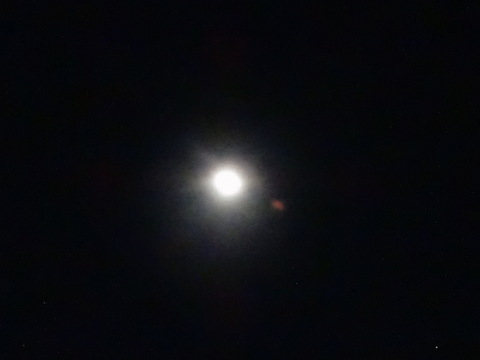 1dsc06654