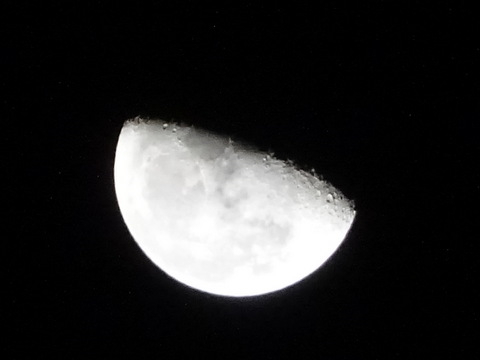 1dsc06655