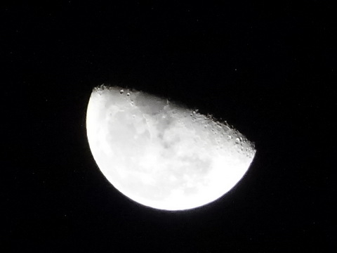 1dsc06656