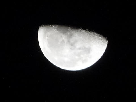 1dsc06660