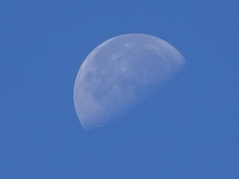 01dsc06661