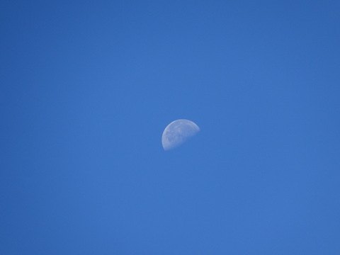 02dsc06662