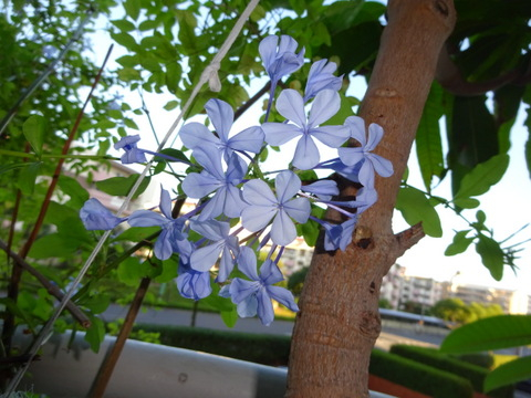 04dsc06664