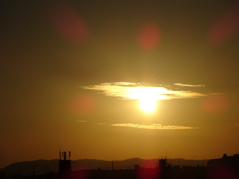 12dsc06672_2