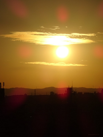 14dsc06675