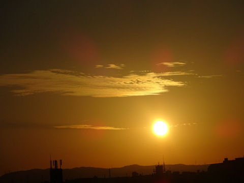 24dsc06686