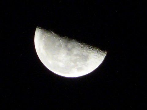 51dsc06713