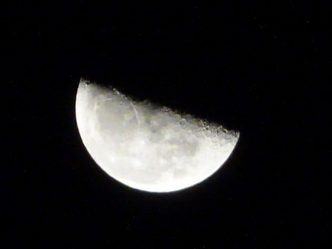 53dsc06715