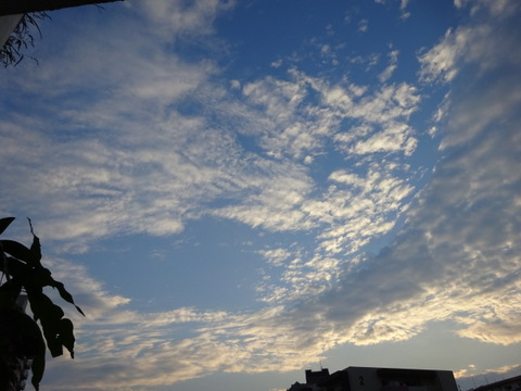 01dsc06718