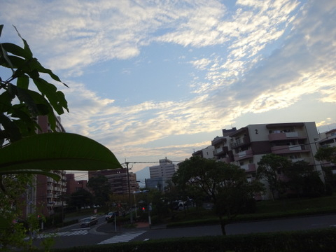 02dsc06719