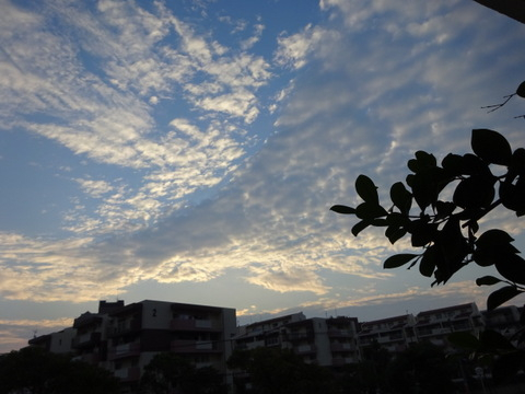 03dsc06720
