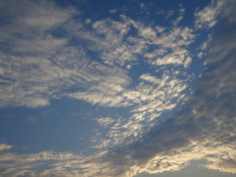 04dsc06721