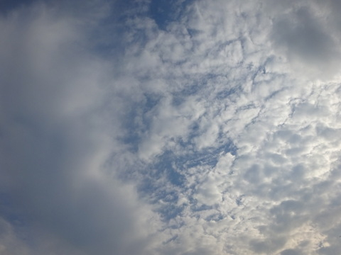 05dsc06722