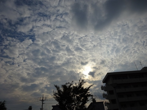 06dsc06723