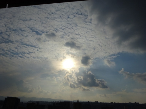 08dsc06725