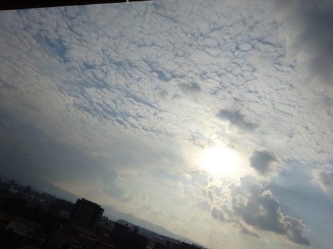 09dsc06726