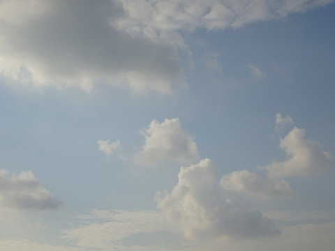10dsc06727