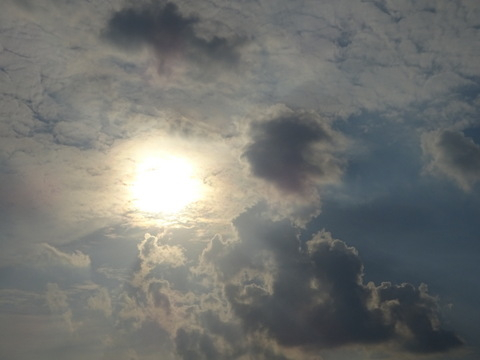 11dsc06728