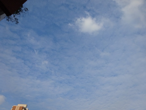12dsc06729