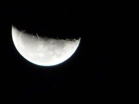 18dsc06737