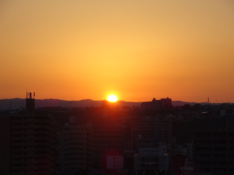 1dsc06771