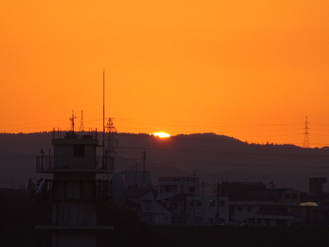 1dsc06775