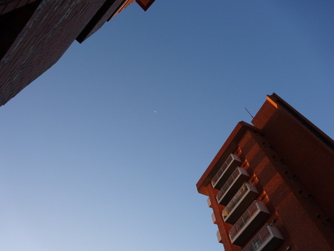 1dsc06813_2